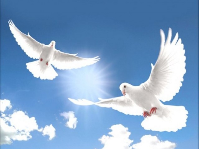 ПОДУМКИ......