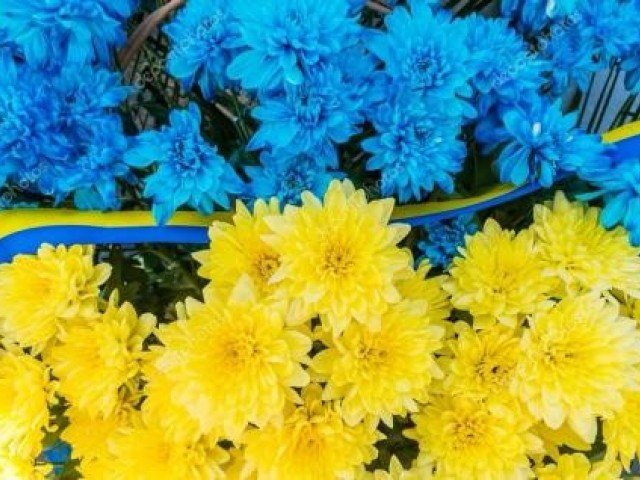 До Дня пам’яті захисників України, які загинули в боротьбі за незалежність, суверенітет і територіальну цілісність України