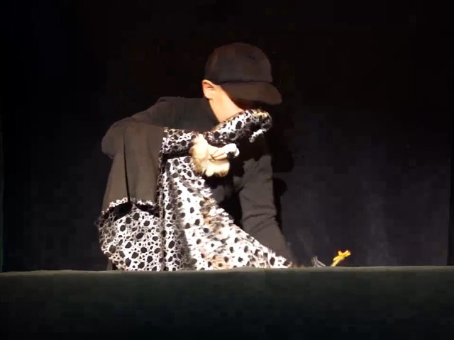 Чепіжний Олександр номер з лялькою "Чарівник-Невдаха" викл. Шустова Ю.О.